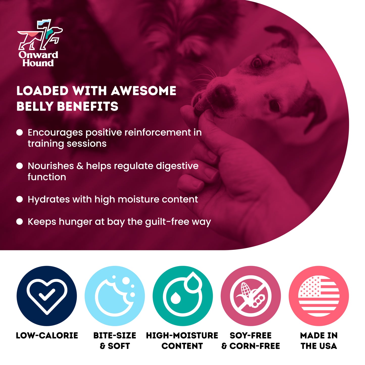 (2 Pack) Onward Hound Belly Benefits 10oz Bag - 4 Month Subscription
