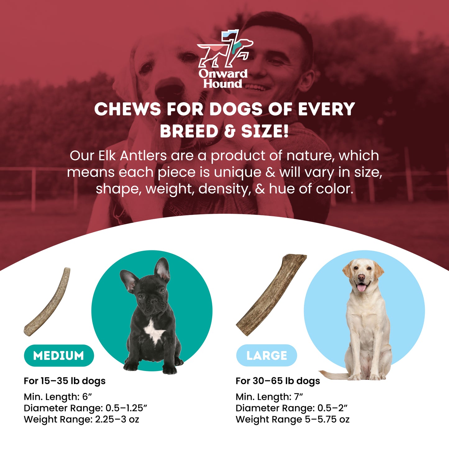 chews for every breed and size